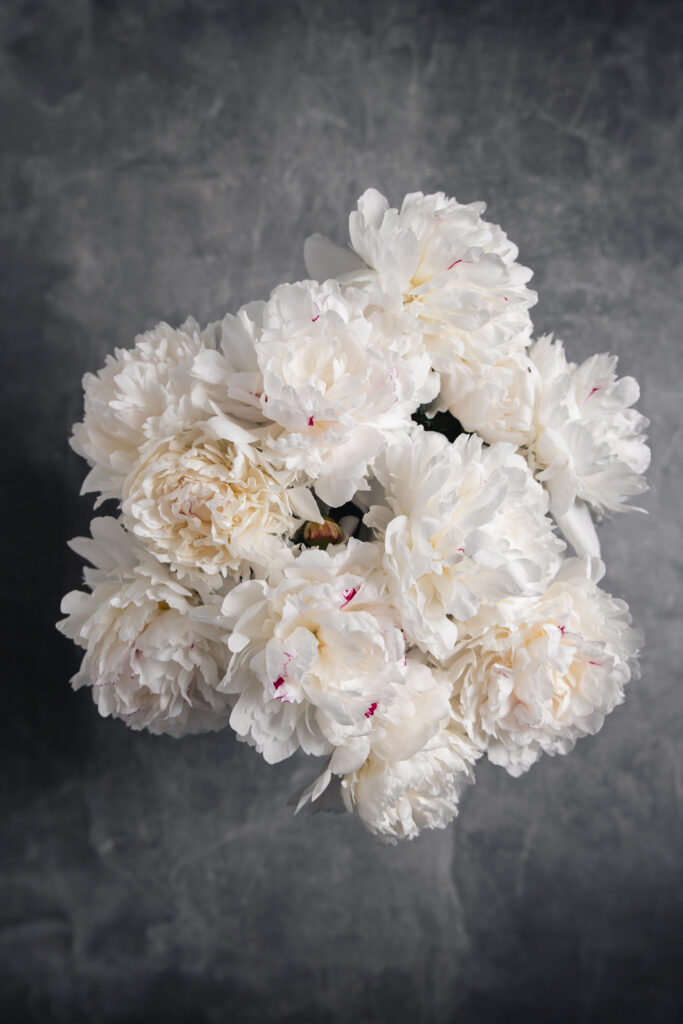 bijunas, paveikslas, geliu nuotrauka, ugc, turinio kurimas, turinio kurejaa, peony, peonies, peony photo.