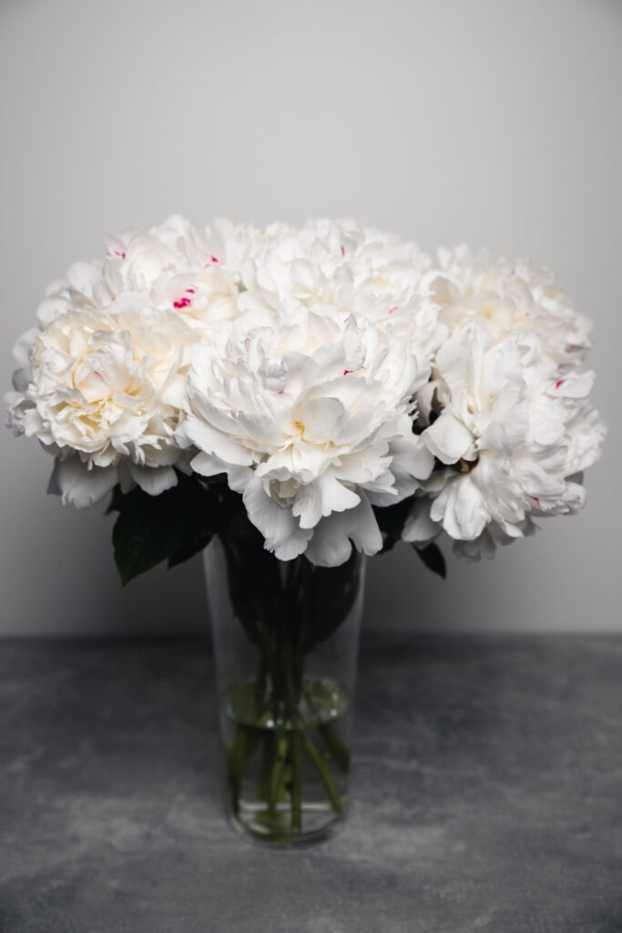 bijunas, paveikslas, geliu nuotrauka, ugc, turinio kurimas, turinio kurejaa, peony, peonies, peony photo.