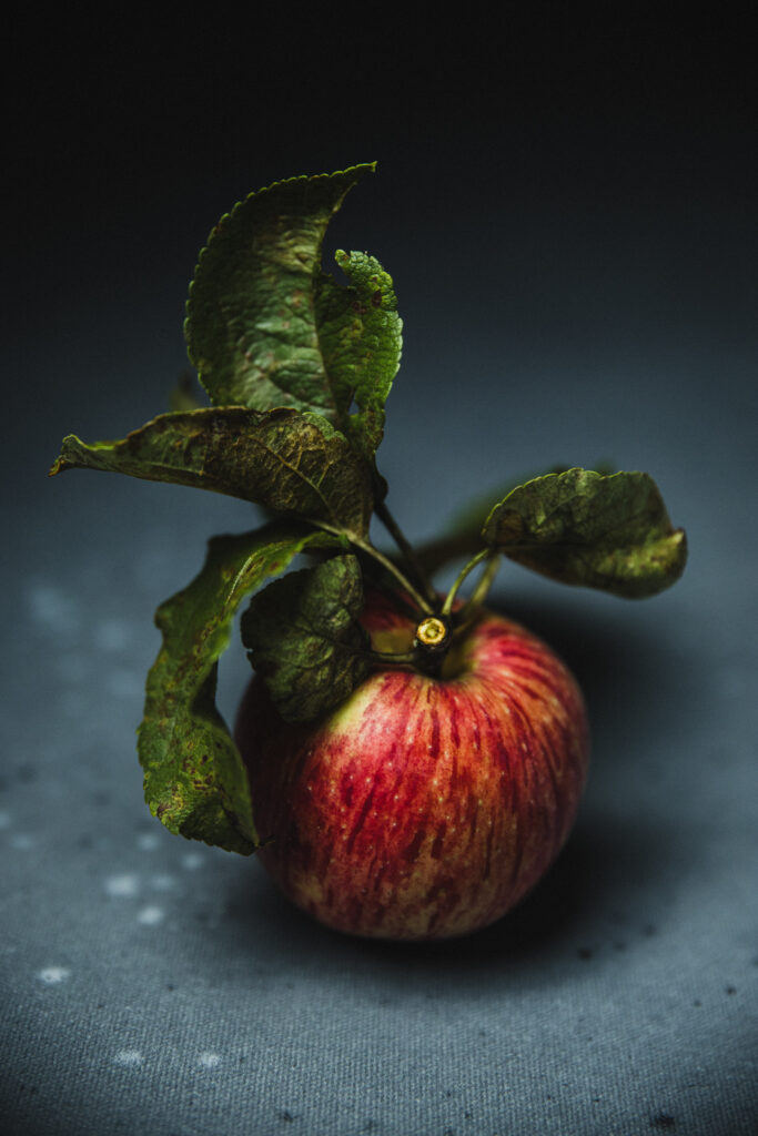 obuoliai, obuolys, apple, apples, obuoliu pyragas, apple pie, twilight, wall art, food photography, maisto fotografija, maistas, fotografas, photographer, vilnius, ugc, user generated content, turinio kurimas, turinio kurejas.